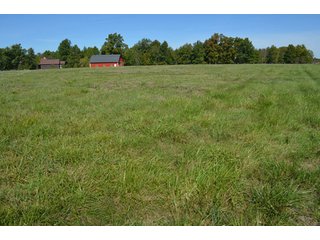 Property photo 38 - 80 +/- Acres Offered in 6 Tracts - Spectacular Farm & Home